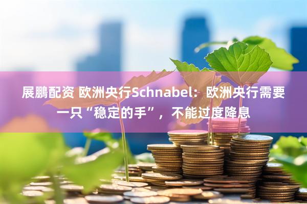 展鵬配资 欧洲央行Schnabel：欧洲央行需要一只“稳定的手”，不能过度降息