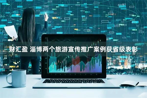 财汇盈 淄博两个旅游宣传推广案例获省级表彰