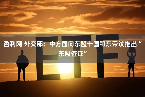 盈利网 外交部：中方面向东盟十国和东帝汶推出“东盟签证”