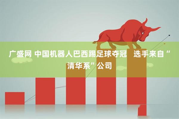 广盛网 中国机器人巴西踢足球夺冠   选手来自“清华系”公司