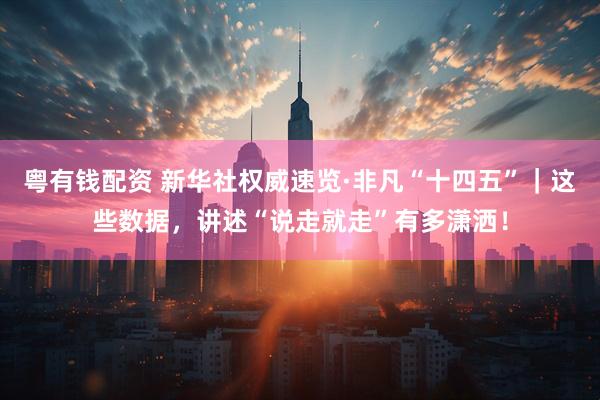 粤有钱配资 新华社权威速览·非凡“十四五”｜这些数据，讲述“说走就走”有多潇洒！
