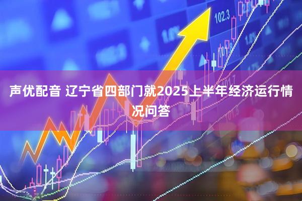 声优配音 辽宁省四部门就2025上半年经济运行情况问答