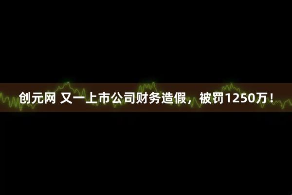 创元网 又一上市公司财务造假，被罚1250万！