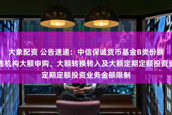 大象配资 公告速递：中信保诚货币基金B类份额调整部分销售机构大额申购、大额转换转入及大额定期定额投资业务金额限制