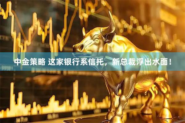 中金策略 这家银行系信托，新总裁浮出水面！