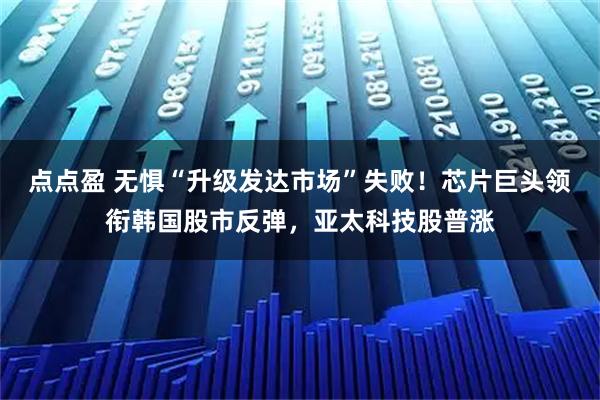 点点盈 无惧“升级发达市场”失败！芯片巨头领衔韩国股市反弹，亚太科技股普涨